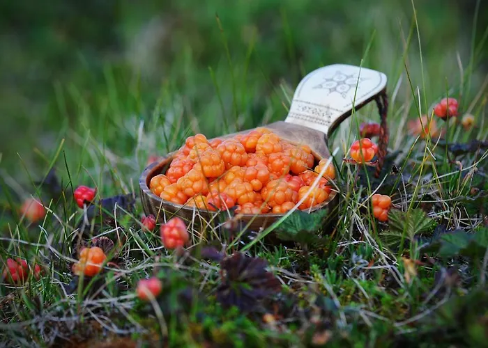 Отель Break Sokos